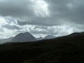 20110524_ambasteir 002